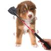 Palm Shape Dog Training Whips Random Color Pet Training Stick Flirt Pole  Exercise Training