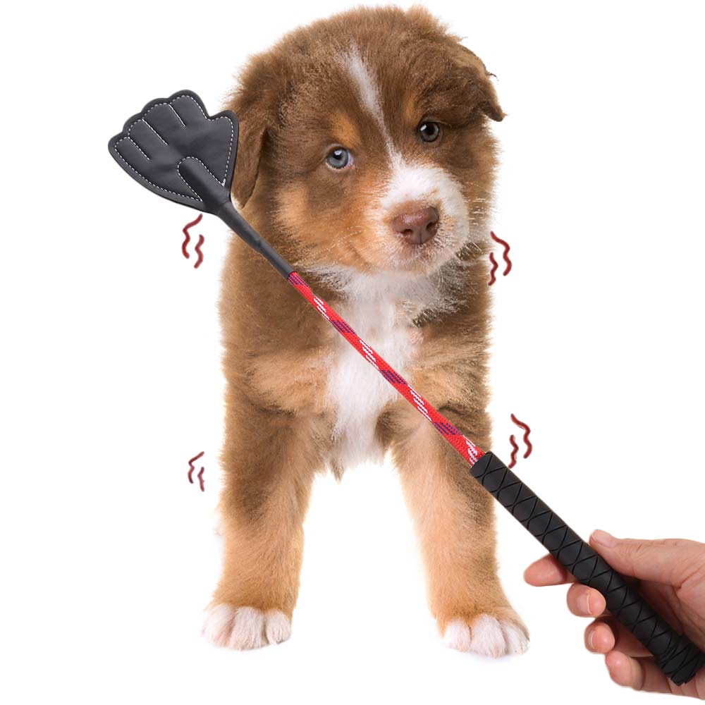 Palm Shape Dog Training Whips Random Color Pet Training Stick Flirt Pole  Exercise Training