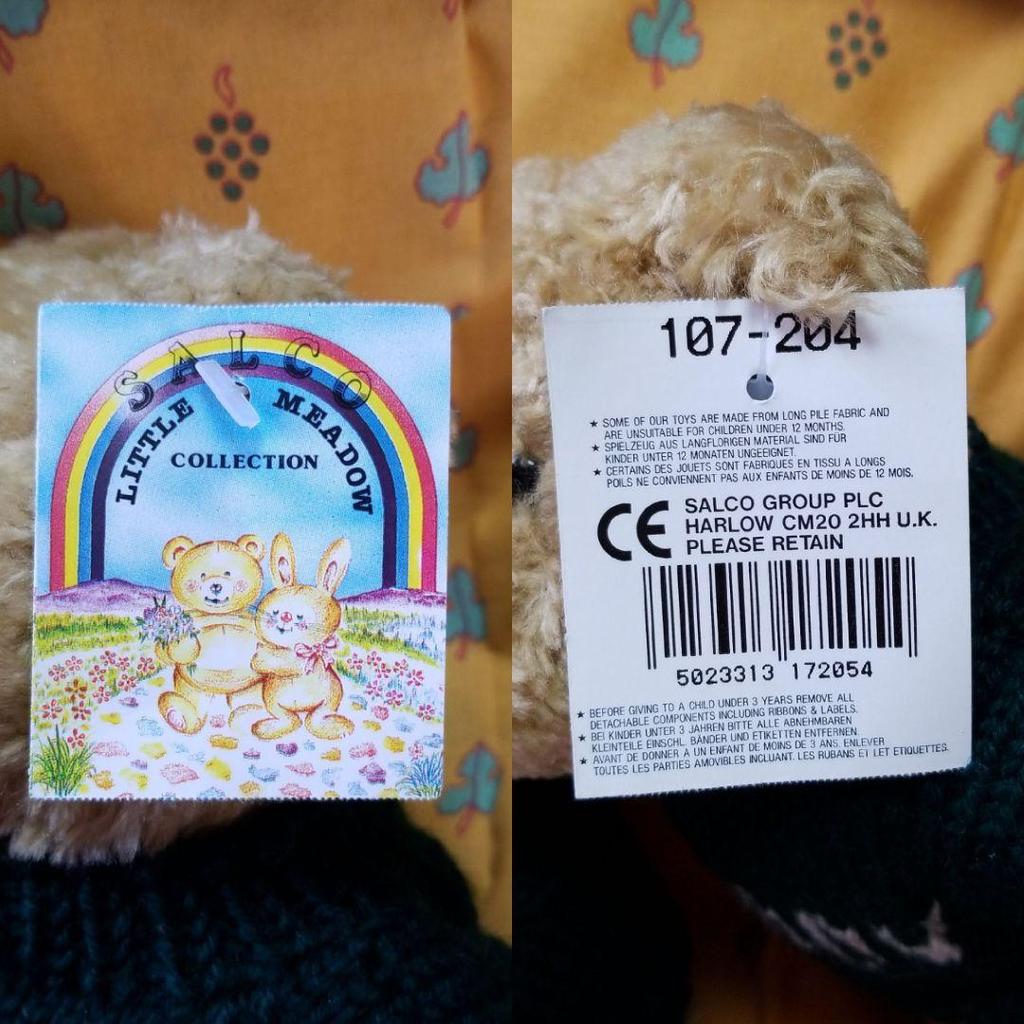 [USED] British Teddy Bear's younger brother