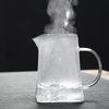 Premium Borosilicate Glass Teapot