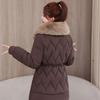 Herbst Winter Verdicken Warmer Parka Damen Lässig Einfarbig Große Tasche Locker Kurze Jacken Oberbekleidung