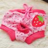 Pet Cute Safety Pants for Dogs - Female Physiological Heat & Anti-Harassment Protection