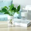 Γλάστρα Αυτοποτιστικό Σύστημα Easy Filling Succulent Vegetable Flower Nursery Pot Water Plant Plant Pot Container Διακόσμηση σπιτιού