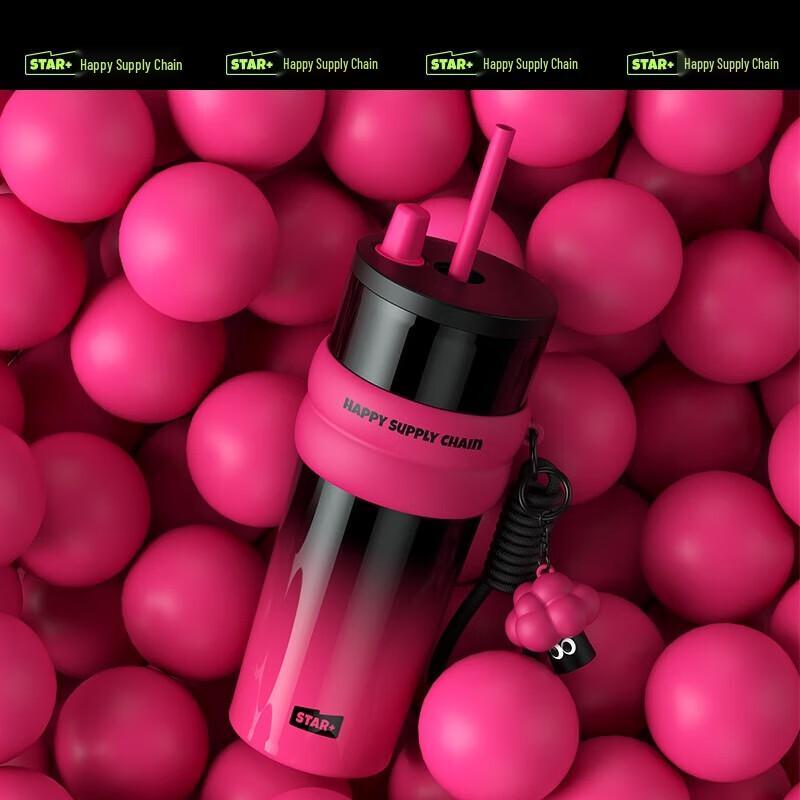 Shidajia Stainless Steel Straw Insulated Water Bottle