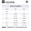 Adidas Originals Arched Logo Crewneck Sweatshirt IY1623