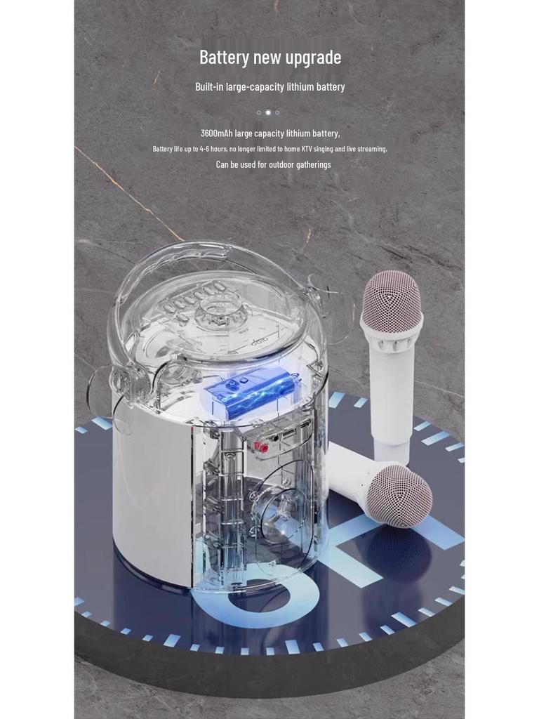 Portable All-in-One RGB Night Light Bluetooth Speaker with Microphone for Family KTV