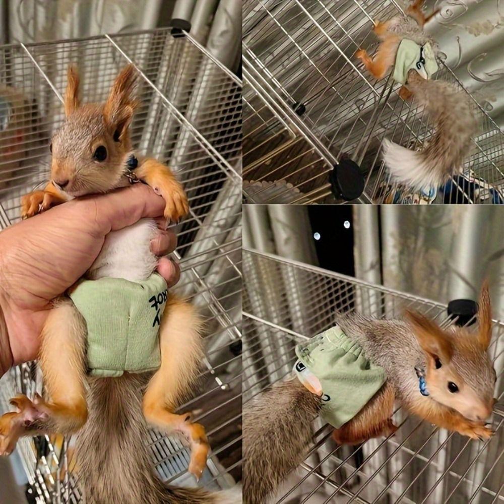Flexible Closure Pet Training Pants Potty Training Small Pet Diapers Squirrel Diapers  Groundhogs