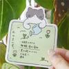 Cute Cat Life Theme Sticky Notes Memo Reminder Decoration Paper