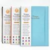 Financial Budget Notebook with Stickers: 16K Cross-border Fund Planning & Income/Expenditure Management Spiral Book
