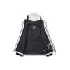THE NORTH FACE Novelty Gtx Mountain Jacket Gray Unisex Korea Version NJ2GP10A