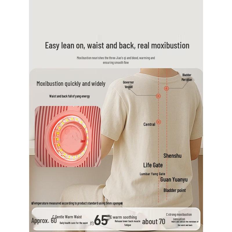 Ke Ai Yuan Su Lumbar & Back Warming Device CN Plug (adapter Included)