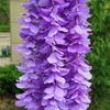 Garland 1m Artificial Hydrangea Wisteria Silk Flower Hanging Garden Home Wedding