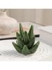 1 Pc Ceramic Aloe Vera Ring Display Rack, Plant Jewelry Storage Rack, Bracelet Earring Necklace Storage Tray, Wedding Decoration