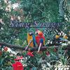 LP Record CRYSTAL SOUNDS - Sing Songs Uta Te Asobou Sound Sens YDAS1A CBS SONY Japan Japanese Pop/Rock Used