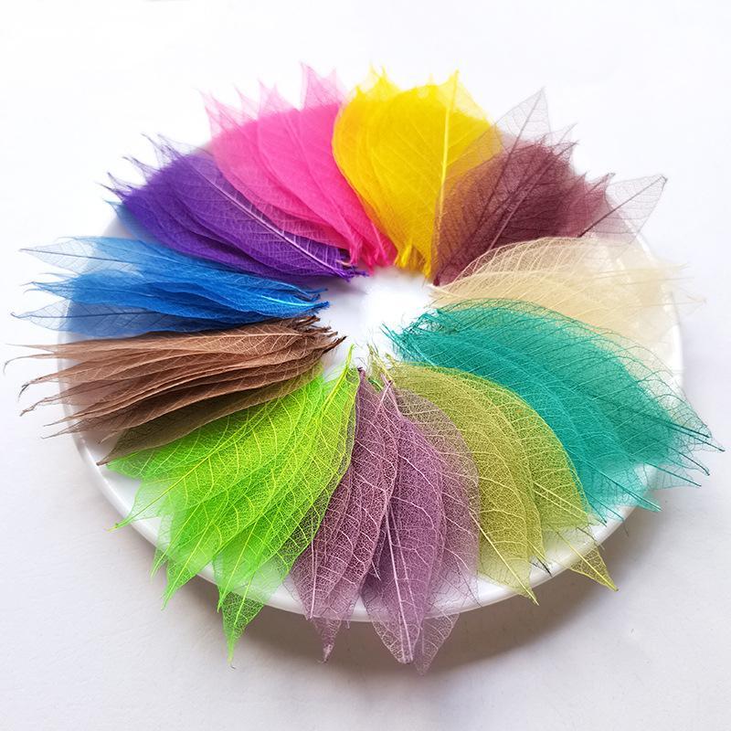 5~9CM*2~3.5CM,10PCS/Set,Real Dried Natural Vajra Leaf ,Pressed Dry Flowers Skeleton Leaves,DIY Wedding Decoration