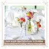Acrylic Transparent Arched Semicircle Without Digital Seat Plate Blank Acrylic Party Decoration Wedding Table Cards Versatile
