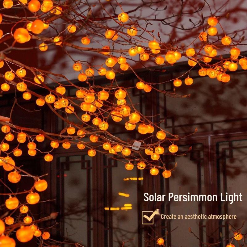 Oeny Solar Persimmon String Lights