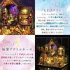 moin moin Dollhouse Miniature DIY Kit for Beginners Instructions Fairy Tale Black Magic LED Light Acrylic Case Paper Parts Printed 2503dh454 Set, 1/24