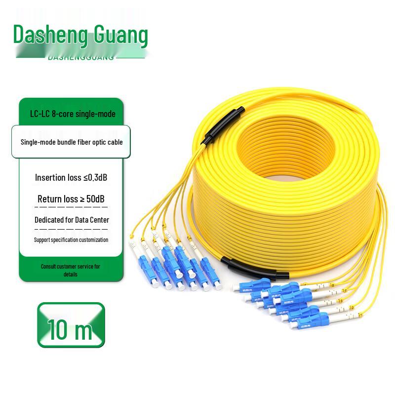 

Dasheng Light Indoor Bundled Single-Mode LC-LC Fiber Optic Patch Cable 10m