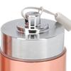 Metal Weekly Travel Medicine Organizer Portable Waterproof 7 Days Aluminum Alloy Tablets Box with Lanyard Rose Gold