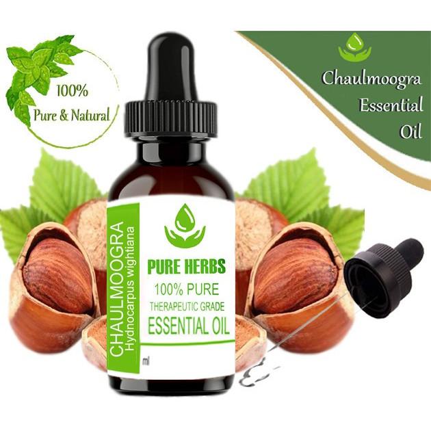 Pure Herbs Chaulmoogra 100% Pure Natural Hydnocarpus Wightiana Essential Oil ZA 289
