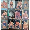 Sumo Trading Card Set of 24