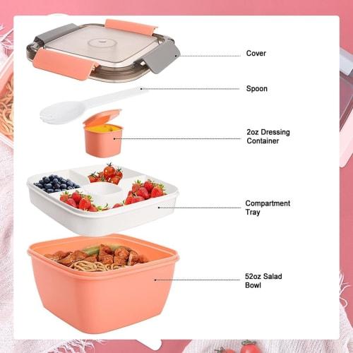 EFFORTS Bento Box, Salad Lunch Container, Portable Lunch Box, 2-Tier, Large Capacity, 1100ml, Perfect for Kids, Students, Men, Women, Commuters, and S