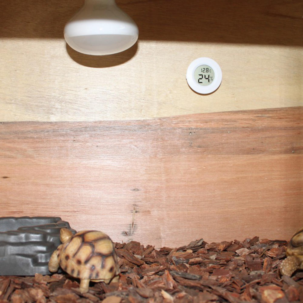 Interior/Exterior Wireless Color Prognoza Temperatura Umiditate Statie meteo