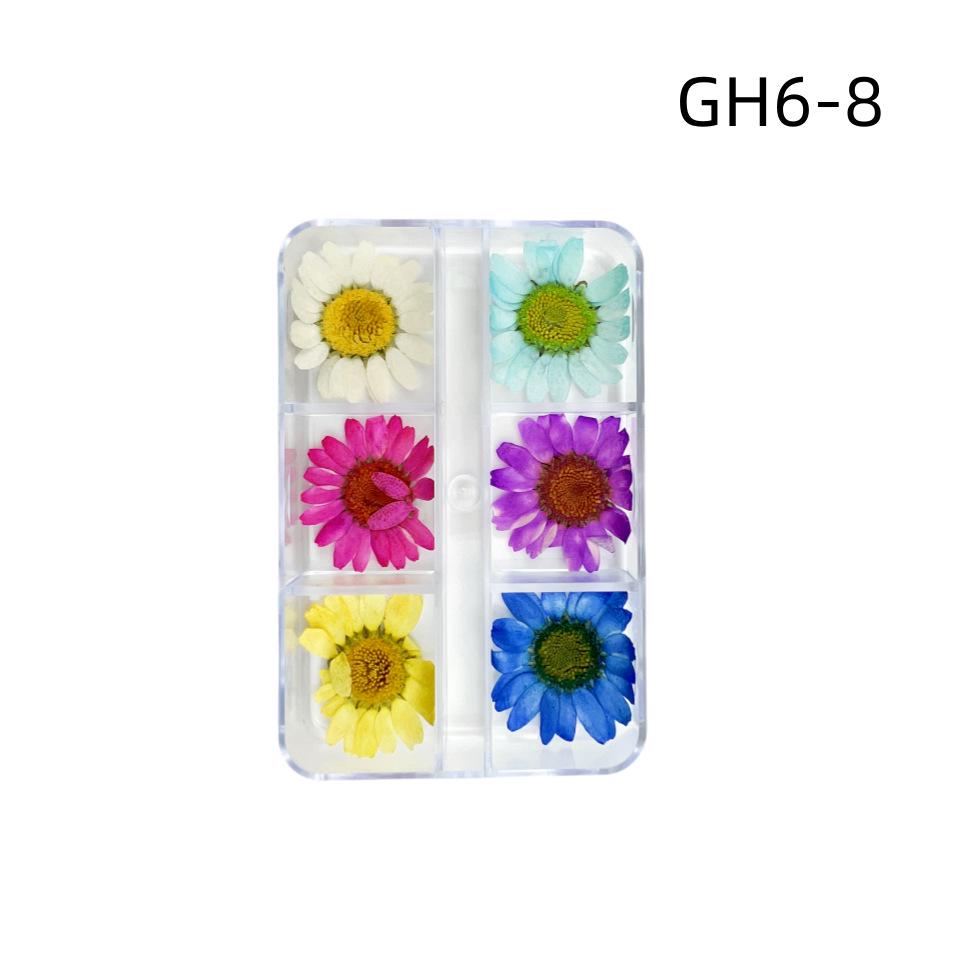 6-Grid Natural Dried Flowers for Nail Art - Japanese Style Sunflower & Baby's Breath DIY Decorations