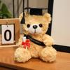 Graduation Bear Plush Toy with Doctor's Hat - Commemorative Teddy Gift