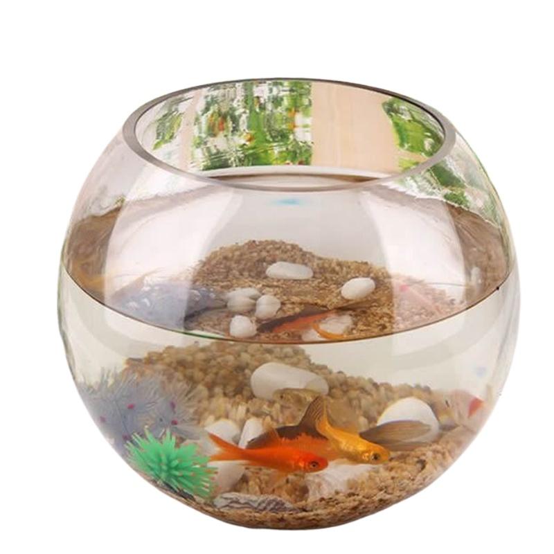 8/10/12/15cm Round Ball Vase Micro Landscape Moss Ecological Bottle Transparent Hydroponic Vase Simple