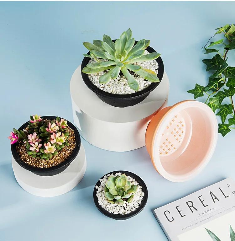 Vaso Grande Novo para Suculentas Vaso de Plástico Redondo para Flores Suculentas Vaso Anão
