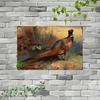 Vavufa Rustic Pheasant Metal Sign Outdoor Garden Wildlife Wall Art Patio Porch Decor 8x12 Inch