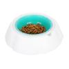 Double Wall Cooling Pet Bowl Summer Pet Water Bowl  Warm Weather Care