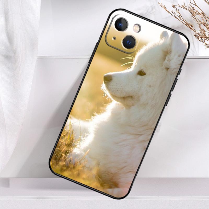 Samoyed Puppy Shockproof Case For iPhone 17 Pro Max 11 14 15 16 Plus 12 13 Mini 16e 17 Air Phone Cover
