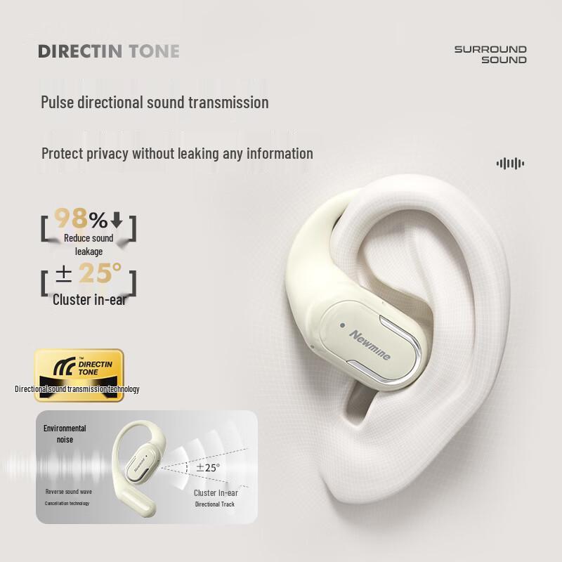 Newman LY57 ENC Open-back Bluetooth Earphones