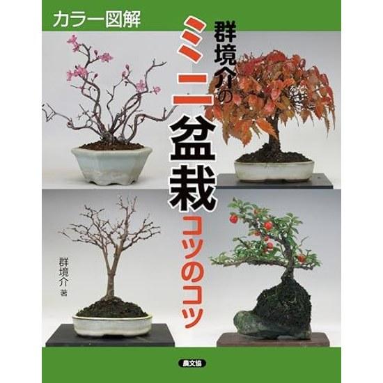 Color Illustrated Mini Bonsai Grouping Techniques Tips Tricks