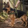 Easy On Off Dog Harness No-Pull with Handle, Adjustable Reflective Harness, Heavy-Duty No-fuss Padded Nylon for Medium Large Dogs Walking Training
