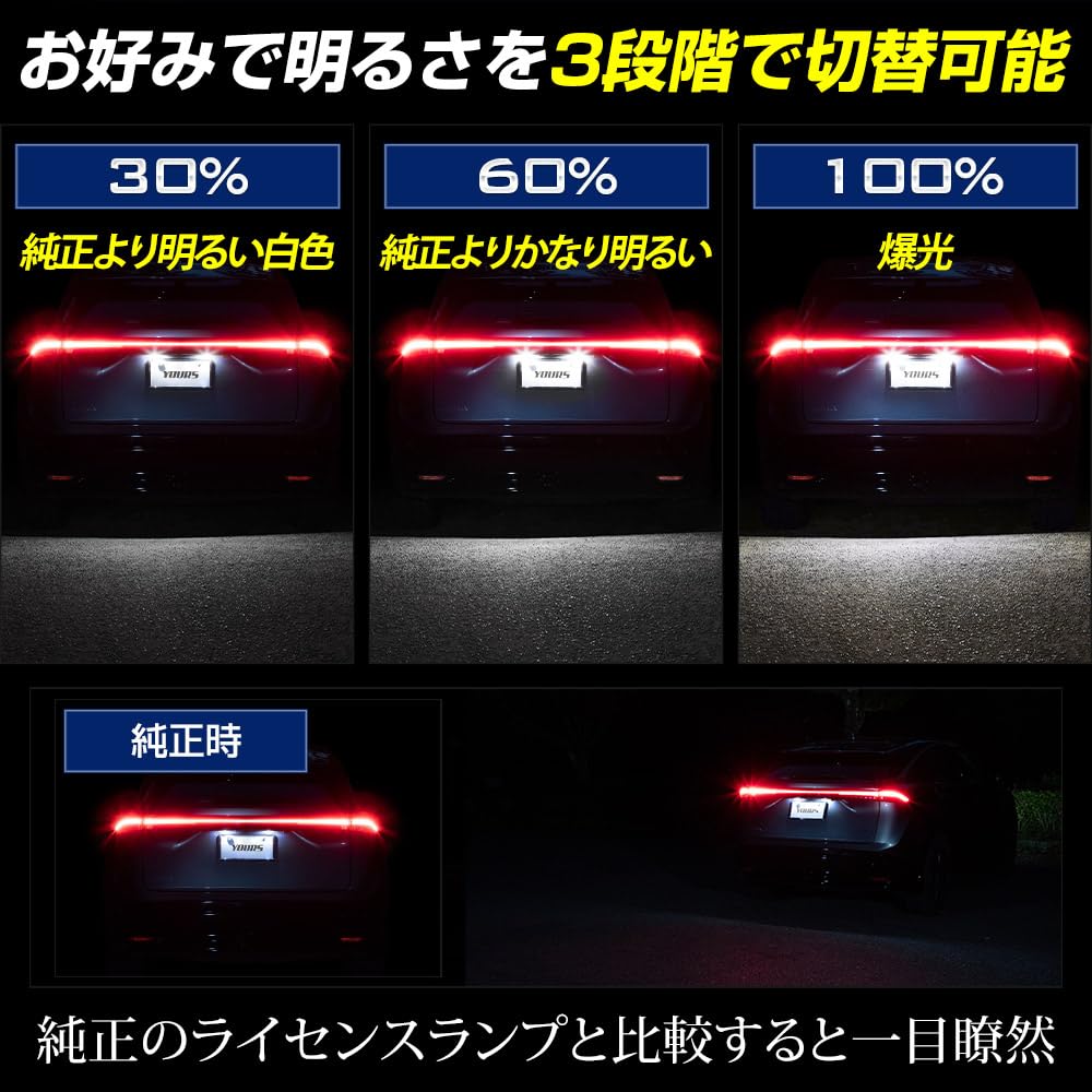 YOURS Aria LED License Plate Custom Vehicle Inspection Custom Parts Nissan M Light, Design, Compliant, & Accessories, y607-057 [2]