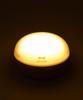 BRUNO Wireless Light Speaker, Pink, No Size, BDE064-PBE