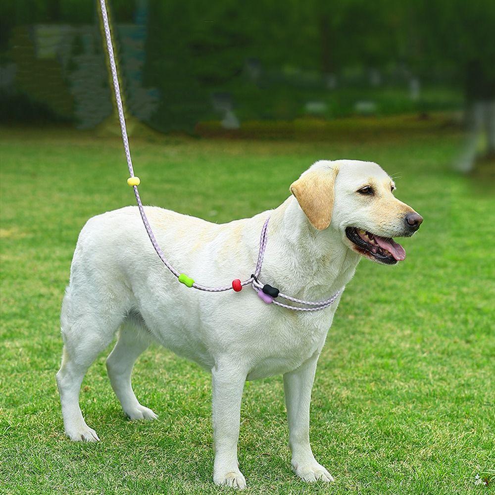 Anti-Pull Dog Harness and Leash Adjustable P Chain Leash Dog Collar Leash  Daily Use
