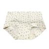 Plus Size Women's Spring Summer Floral Cotton 10A Antibacterial Extended Crotch Hip Mid Waist Flat Angle Briefs