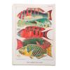 Retro Natural History Illustrated Journal & DIY Album: 15 Double-Sided Sheets for Decoration
