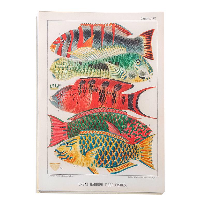 Retro Natural History Illustrated Journal & DIY Album: 15 Double-Sided Sheets for Decoration