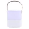 Dimmable Touch Lamp with Handle for Bedroom Rechargeable Adjustable Color Temperature Bedside Table Lamp