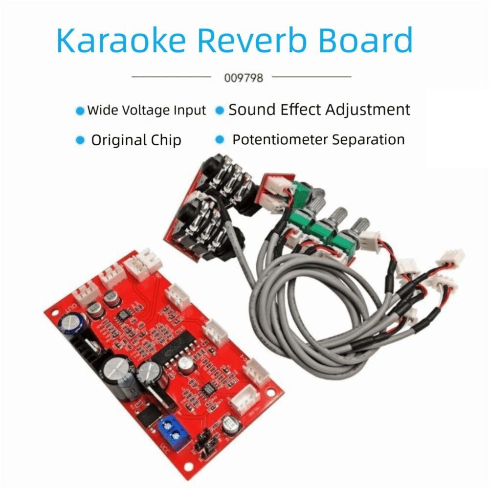 Pre-amplification Effect Reverb Board Fixed/Separate HIFI Audio Amplifier Board  Dynamic Microphone