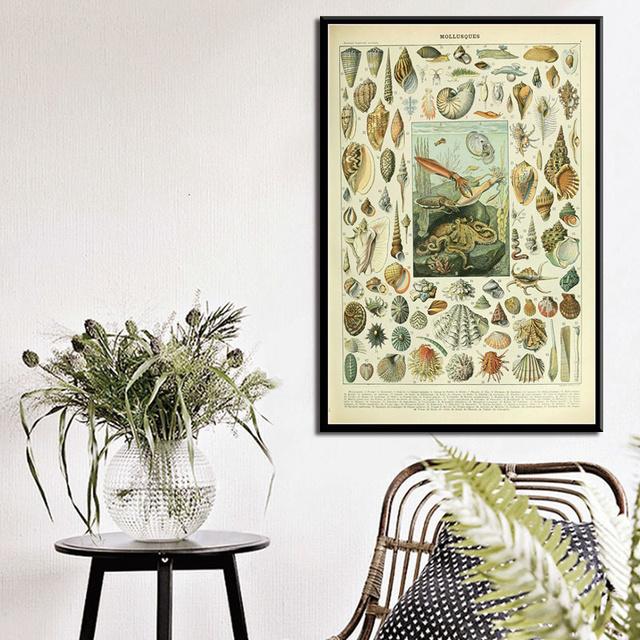 Ocean Sea Shell Fish Animal Canvas Painting Posters And Prints Wall Art Picture Vintage Life Chart Biology Decoration Home Decor