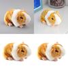 Lifelike Orange Guinea Pig Plush Toy For Children's Collection Gifts