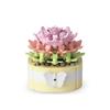 Flower Succulents Building Blocks Everlasting Flower Bonsai Tree Gardens Romantic Bricks DIY Potted Plants Model Kids Kits Toys
