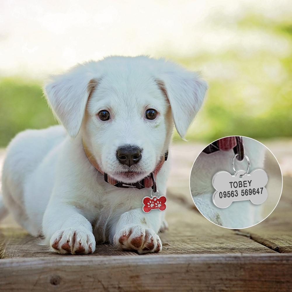 Anti-lost Dog ID Tag Personalized Dogs Cat Tags Bone Shape Customized Pet Nameplate for Collar Necklace Free Gift Chihuahua